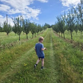 Trnkovým sadem prý i poslepu. #malypirat